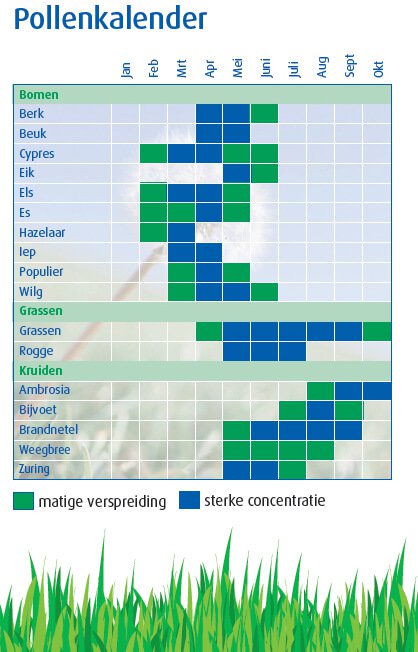 hooikoorts periode